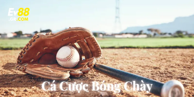 Cá cược bóng chày là gì?