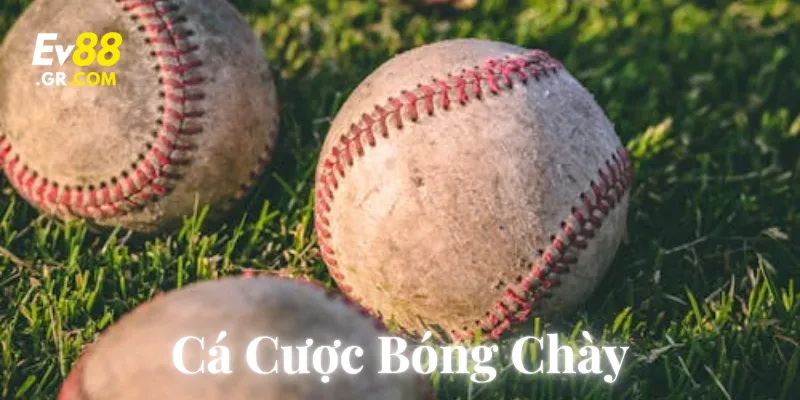 Cá Cược Bóng Chày: 7 Bí Quyết Thắng Lớn MLB Siêu Hiệu Quả