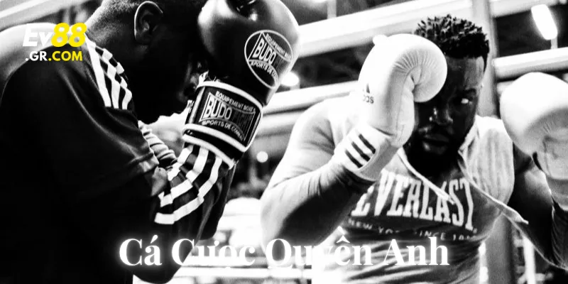 Cá Cược Quyền Anh: 5 Tips Thắng Lớn Cho Người Mới 2025